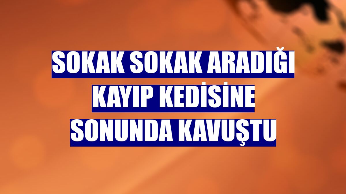 Sokak sokak aradığı kayıp kedisine sonunda kavuştu
