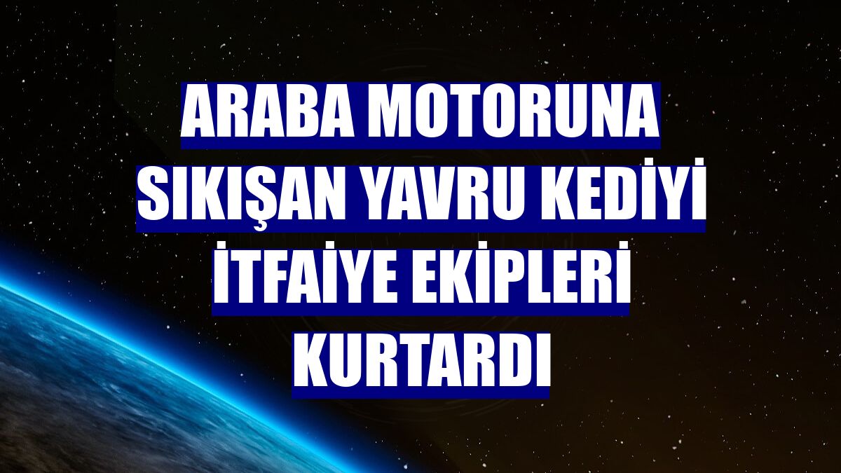 Araba motoruna sıkışan yavru kediyi itfaiye ekipleri kurtardı
