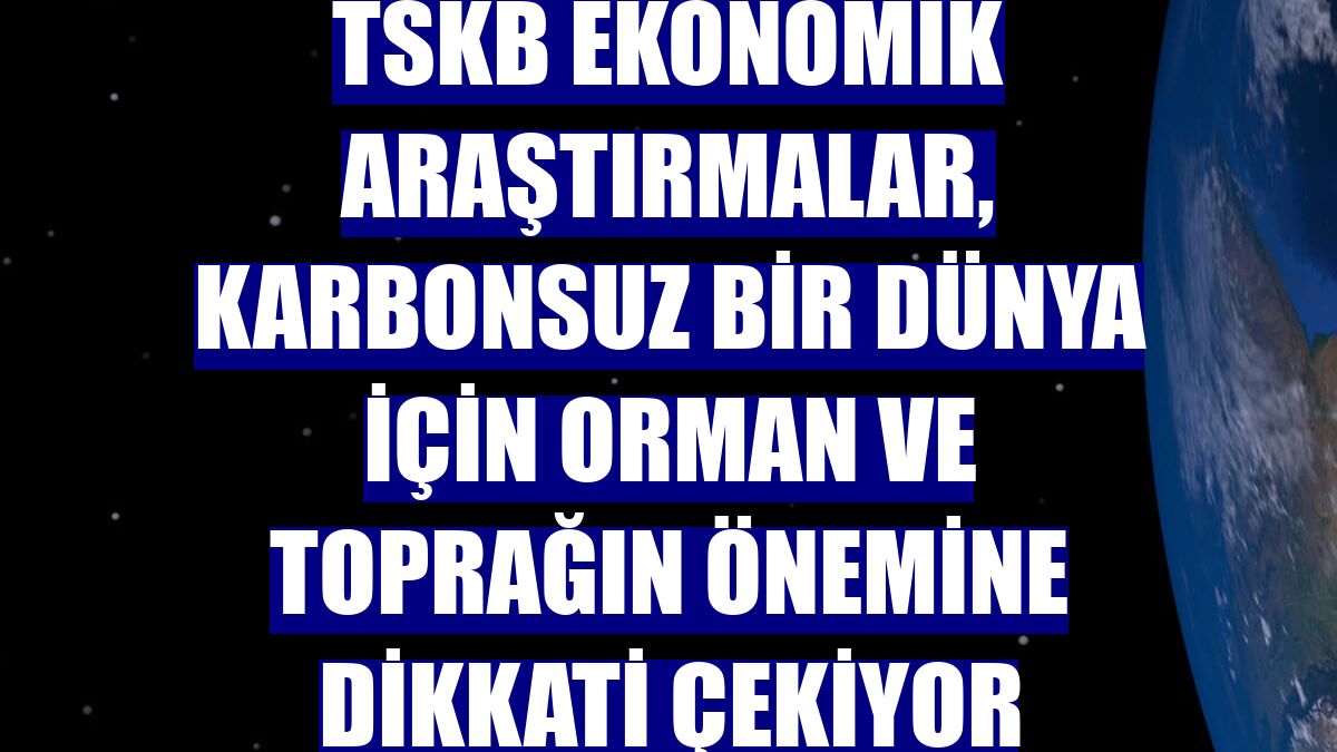 TSKB Ekonomik Araştırmalar, karbonsuz bir dünya için orman ve toprağın önemine dikkati çekiyor