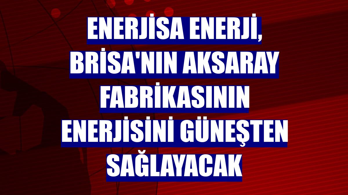 Enerjisa Enerji, Brisa'nın Aksaray fabrikasının enerjisini güneşten sağlayacak