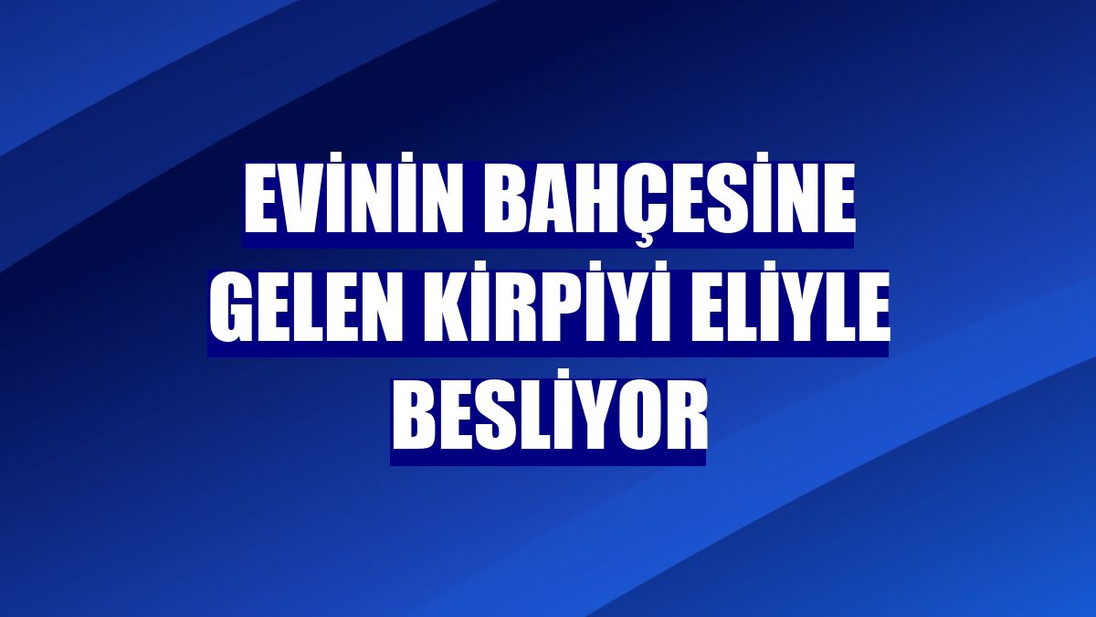 Evinin bahçesine gelen kirpiyi eliyle besliyor