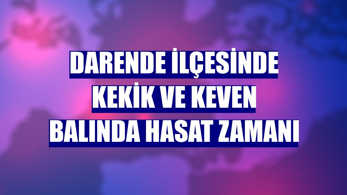 Darende ilçesinde kekik ve keven balında hasat zamanı