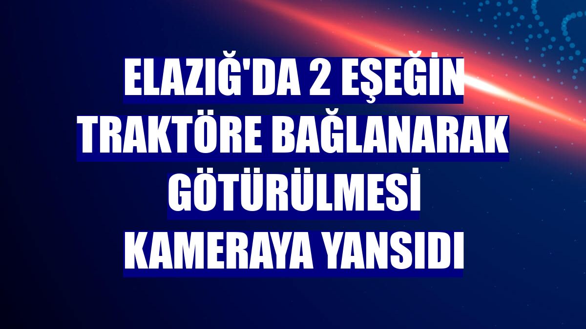 Elazığ'da 2 eşeğin traktöre bağlanarak götürülmesi kameraya yansıdı