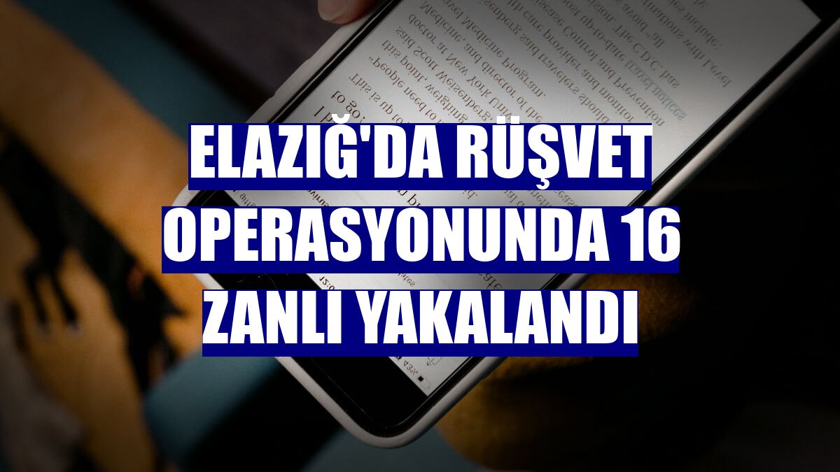 Elazığ'da rüşvet operasyonunda 16 zanlı yakalandı