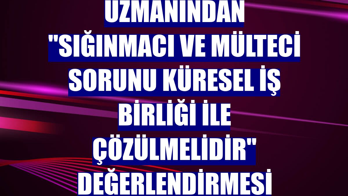 Uzmanından "sığınmacı ve mülteci sorunu küresel iş birliği ile çözülmelidir" değerlendirmesi