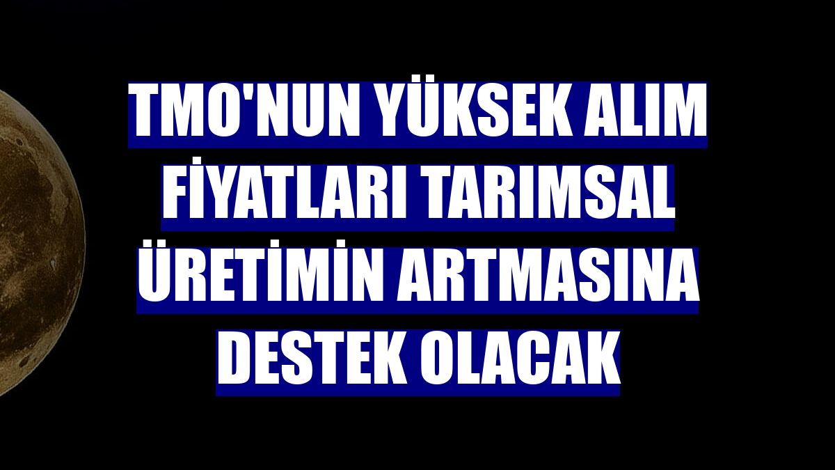 TMO'nun yüksek alım fiyatları tarımsal üretimin artmasına destek olacak