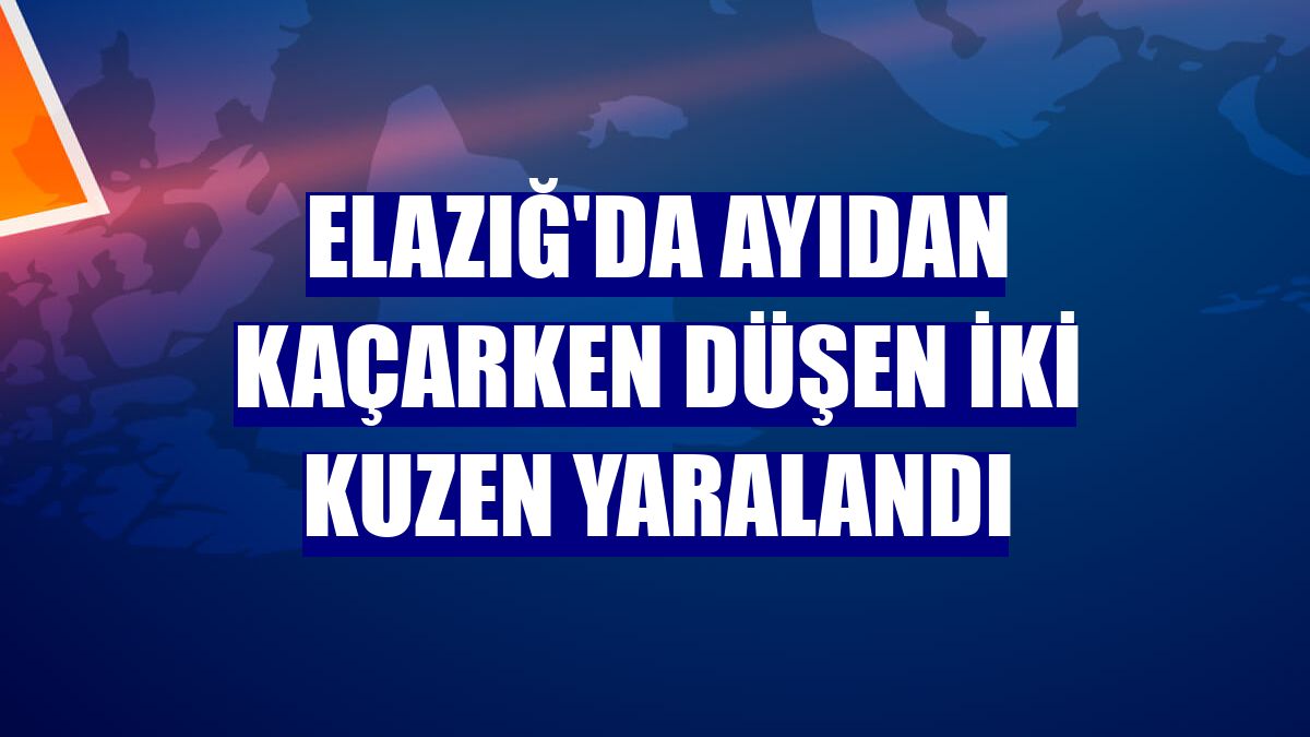 Elazığ'da ayıdan kaçarken düşen iki kuzen yaralandı