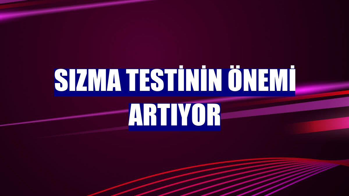 Sızma testinin önemi artıyor