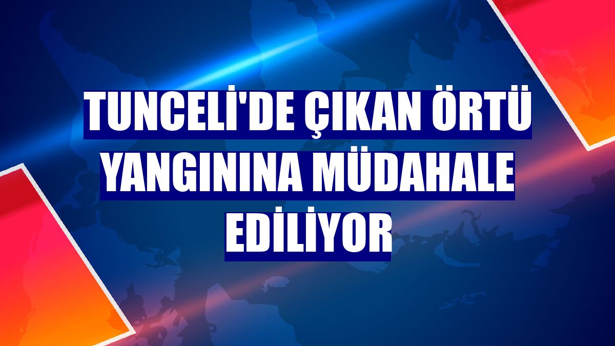 Tunceli'de çıkan örtü yangınına müdahale ediliyor