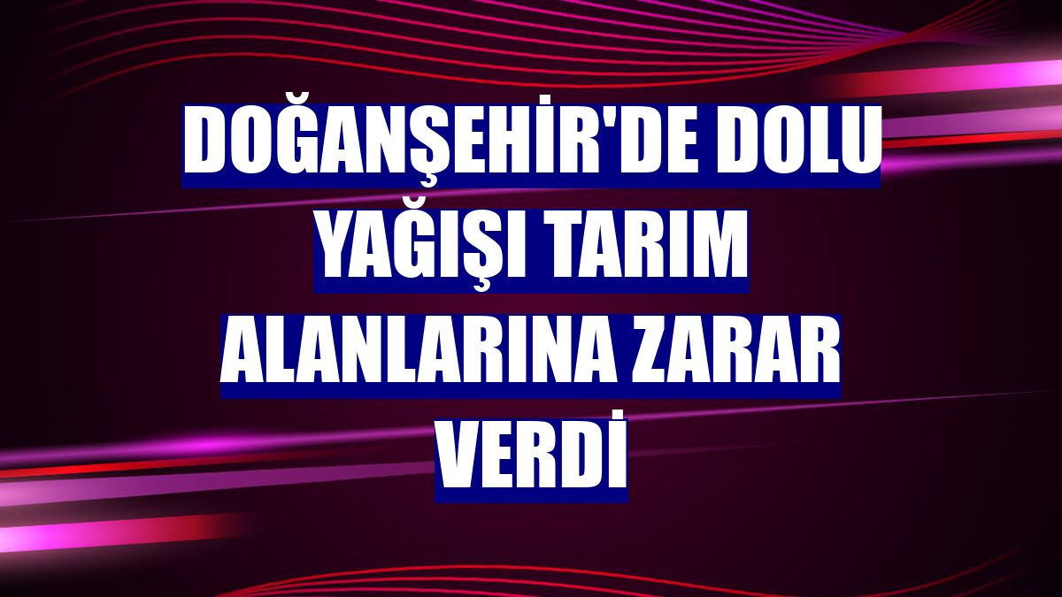 Doğanşehir'de dolu yağışı tarım alanlarına zarar verdi