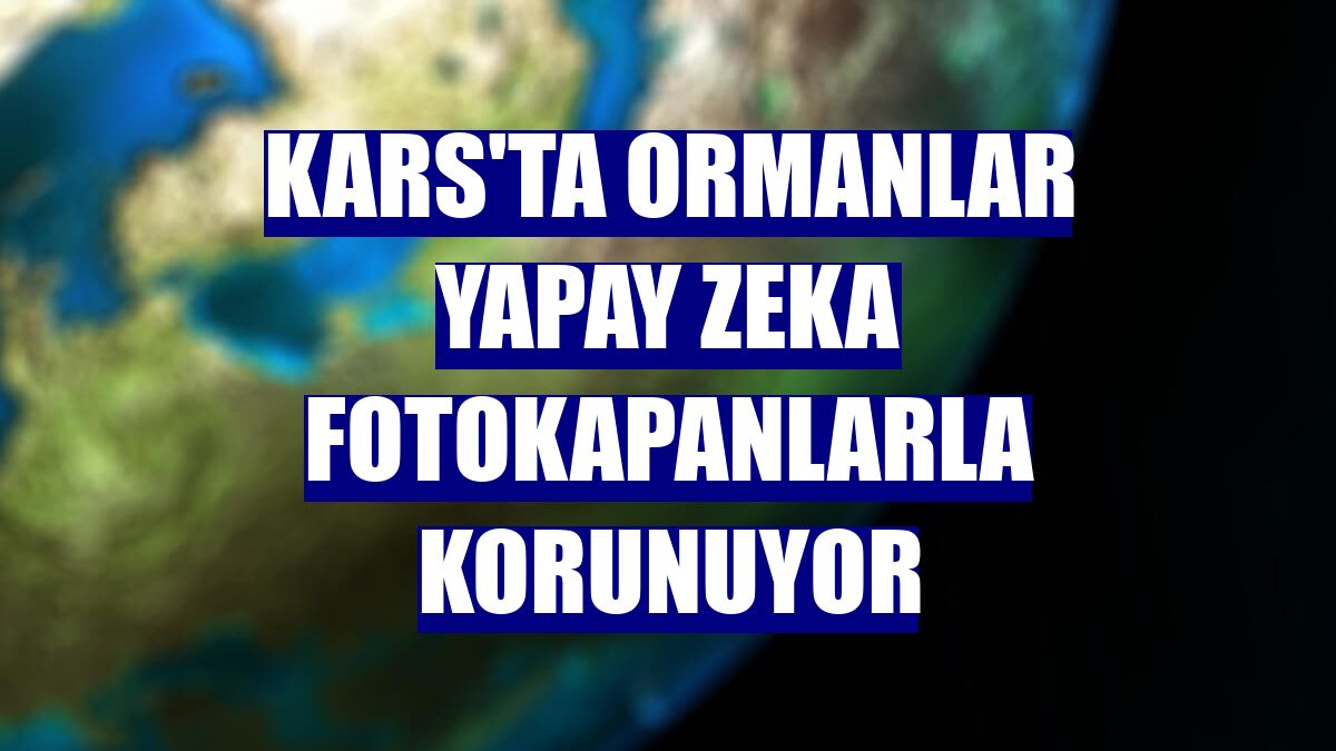 Kars'ta ormanlar yapay zeka fotokapanlarla korunuyor