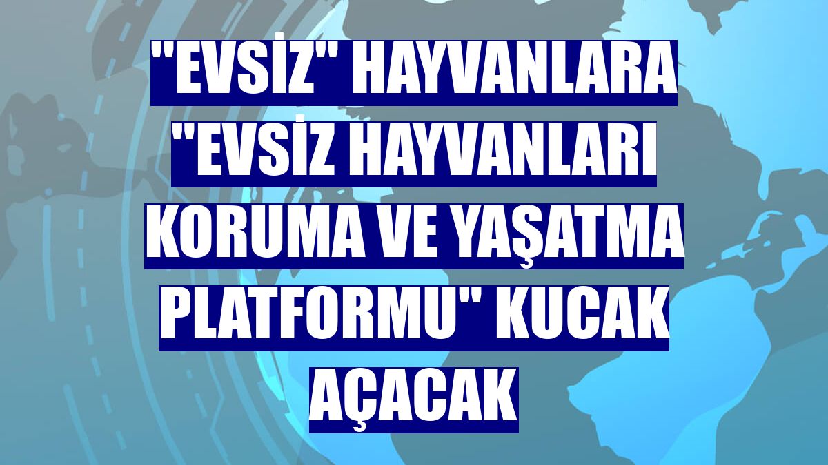 "Evsiz" hayvanlara "Evsiz Hayvanları Koruma ve Yaşatma Platformu" kucak açacak