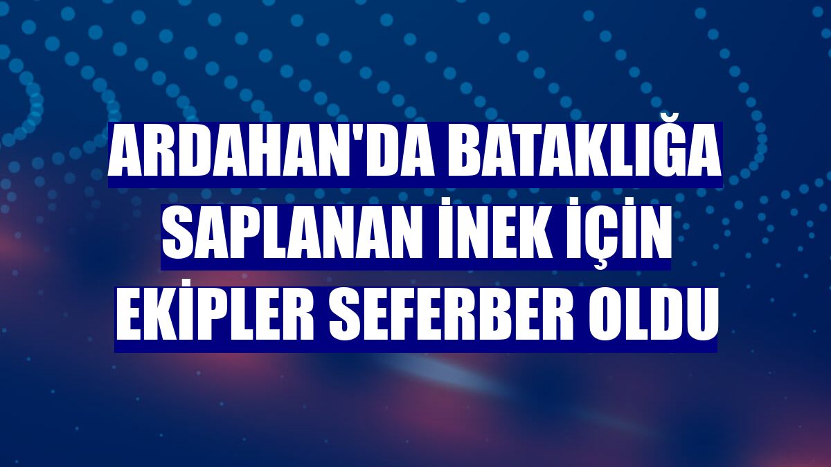 Ardahan'da bataklığa saplanan inek için ekipler seferber oldu