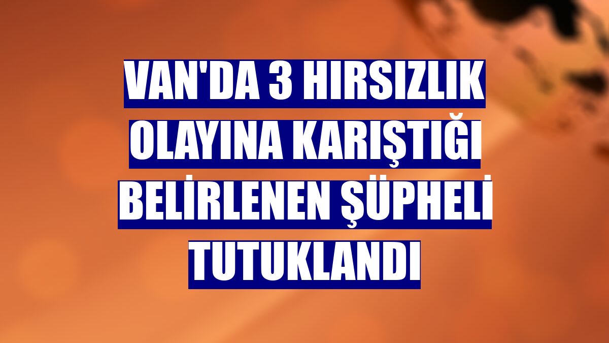 Van'da 3 hırsızlık olayına karıştığı belirlenen şüpheli tutuklandı