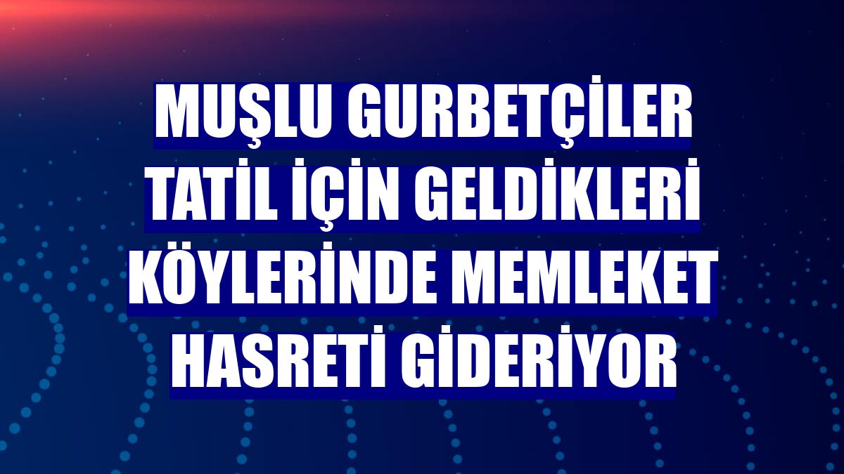 Muşlu gurbetçiler tatil için geldikleri köylerinde memleket hasreti gideriyor