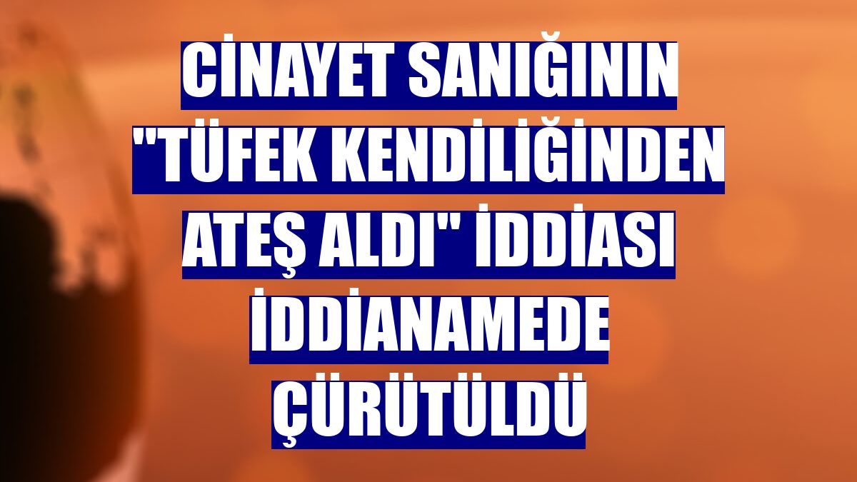 Cinayet sanığının "tüfek kendiliğinden ateş aldı" iddiası iddianamede çürütüldü