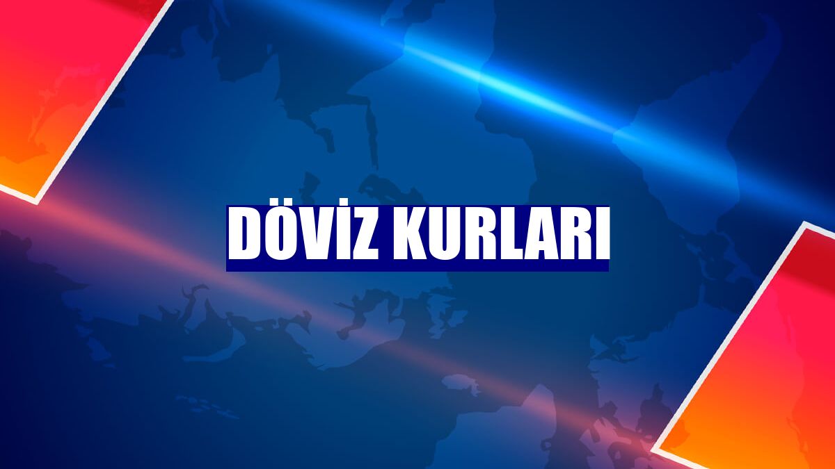 Döviz kurları