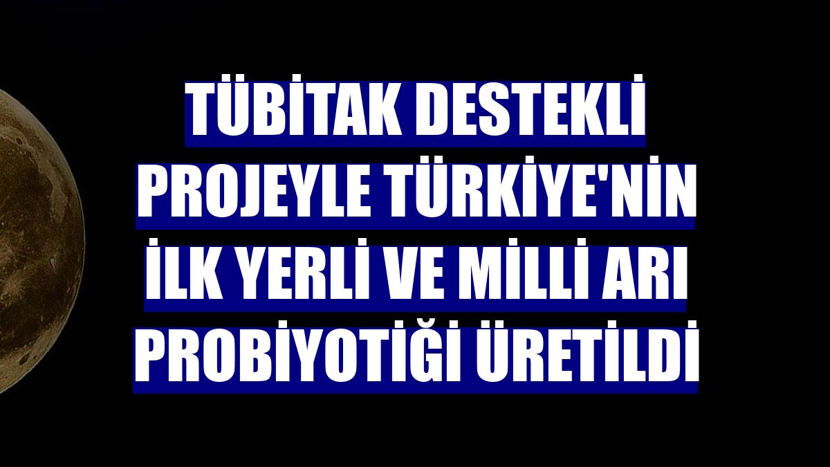 TÜBİTAK destekli projeyle Türkiye'nin ilk yerli ve milli arı probiyotiği üretildi