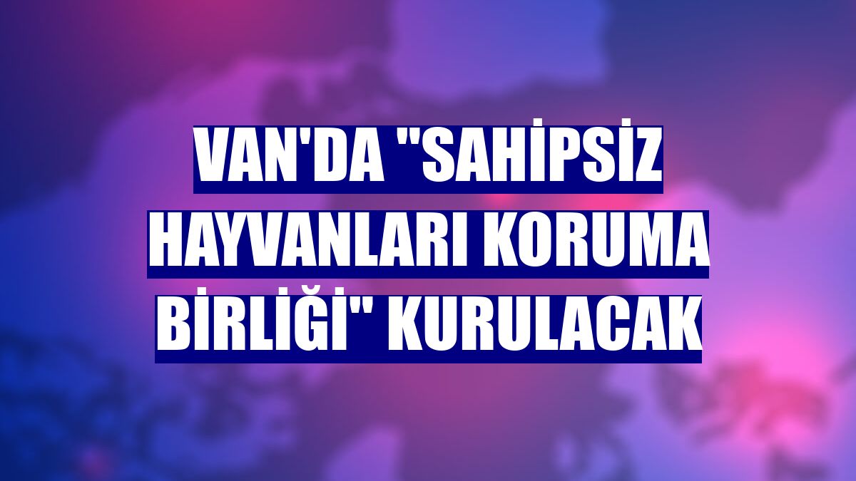 Van'da "Sahipsiz Hayvanları Koruma Birliği" kurulacak