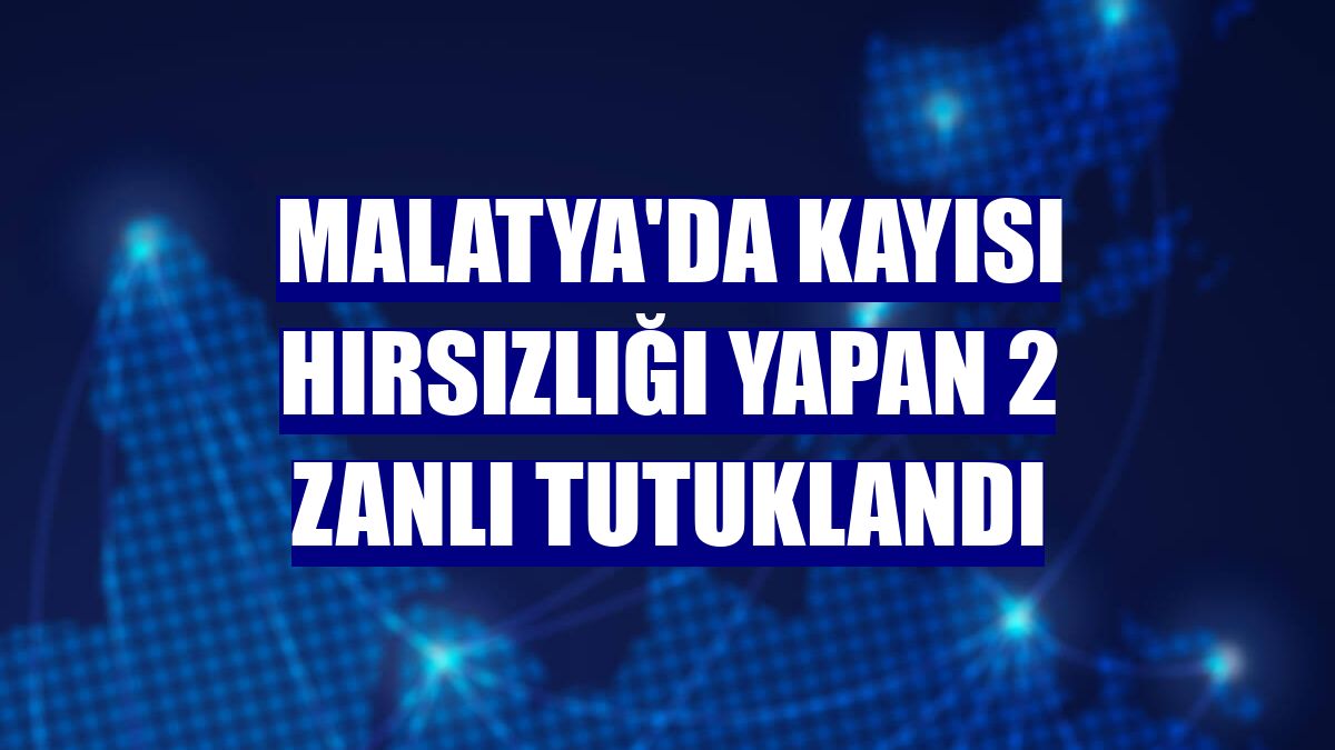 Malatya'da kayısı hırsızlığı yapan 2 zanlı tutuklandı