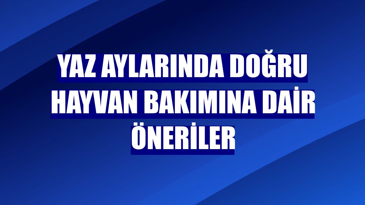 Yaz aylarında doğru hayvan bakımına dair öneriler