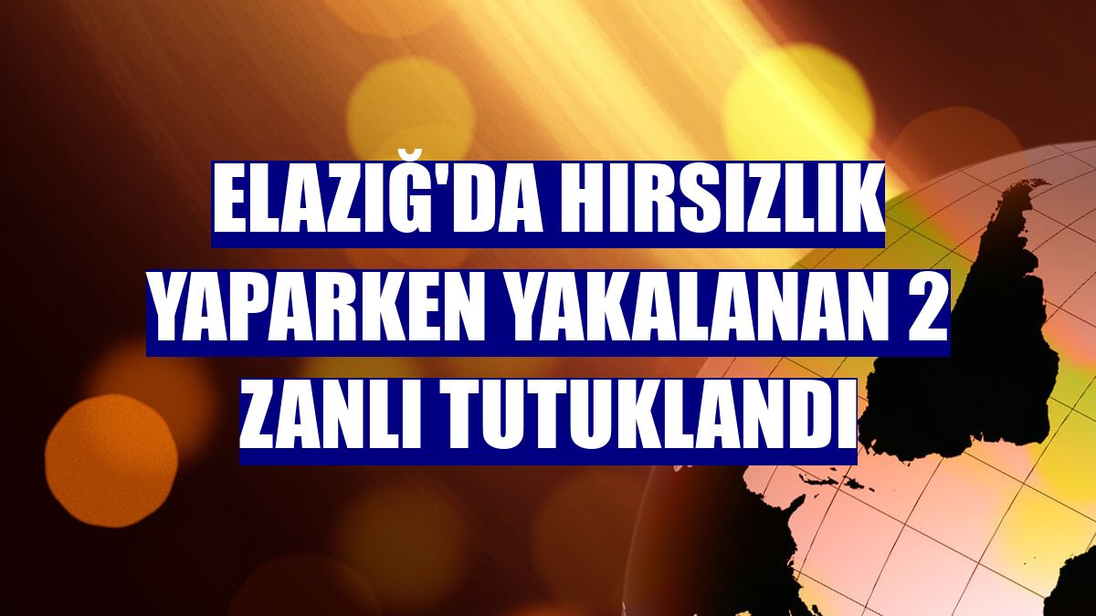 Elazığ'da hırsızlık yaparken yakalanan 2 zanlı tutuklandı