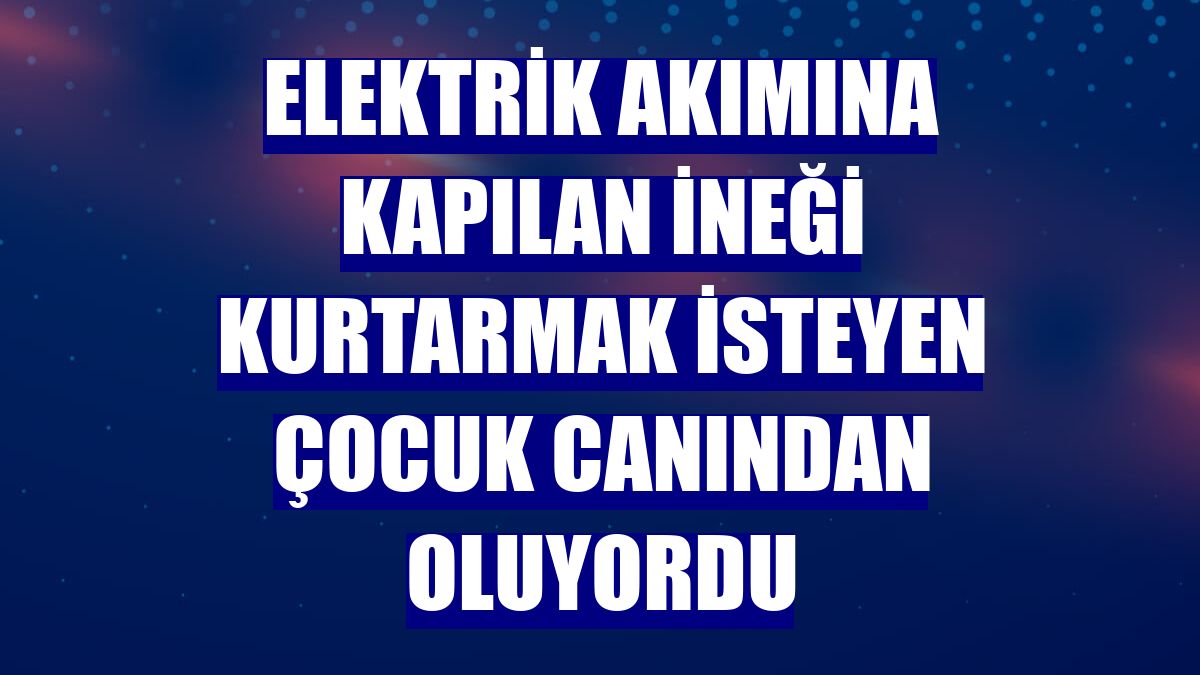 Elektrik akımına kapılan ineği kurtarmak isteyen çocuk canından oluyordu