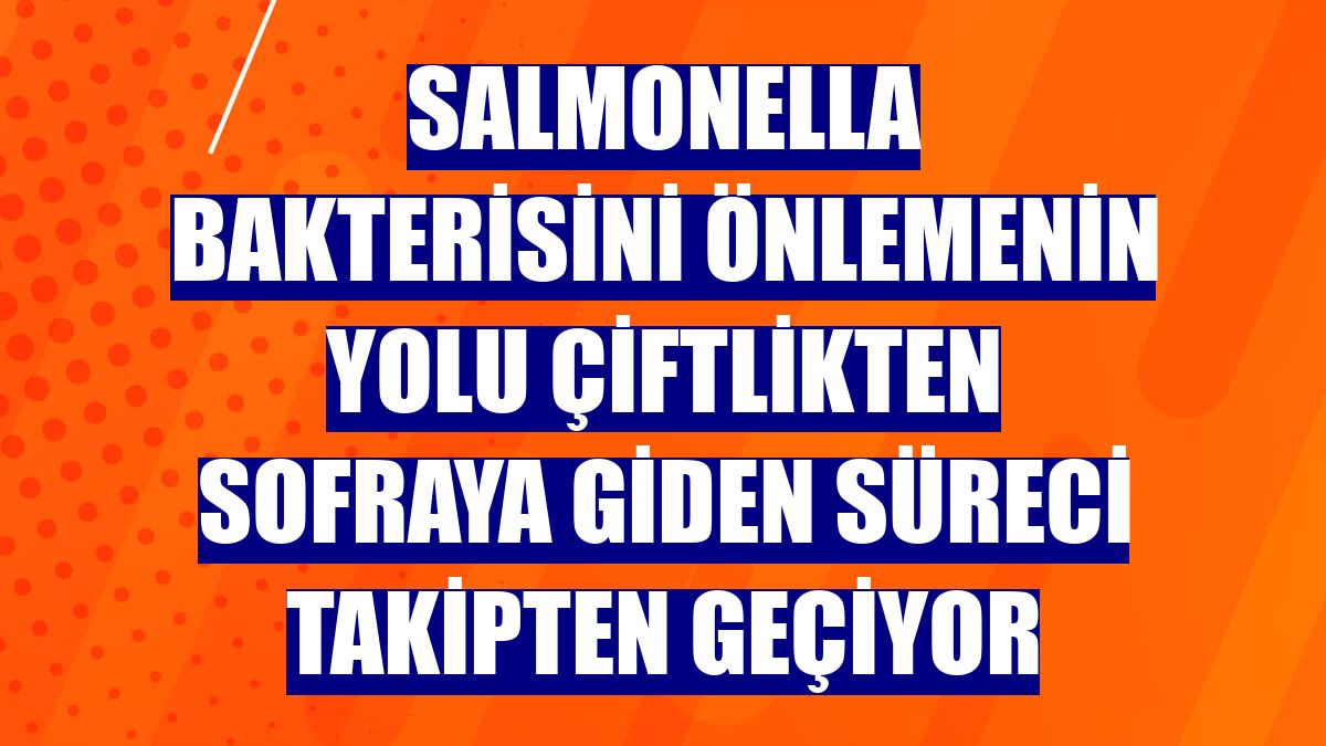 Salmonella bakterisini önlemenin yolu çiftlikten sofraya giden süreci takipten geçiyor