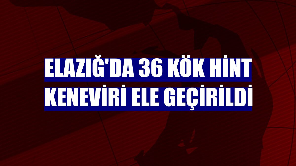 Elazığ'da 36 kök Hint keneviri ele geçirildi