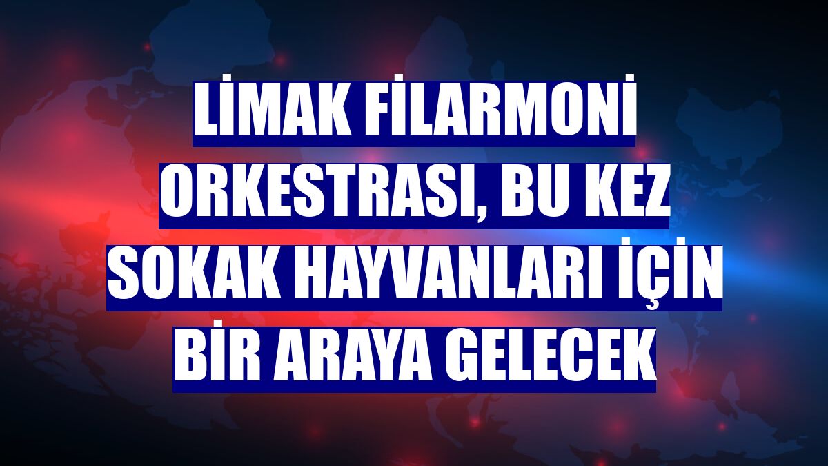 Limak Filarmoni Orkestrası, bu kez sokak hayvanları için bir araya gelecek