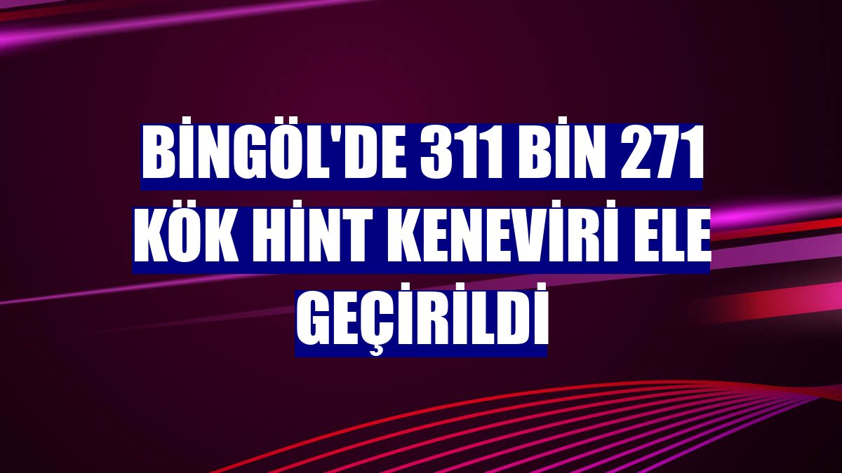 Bingöl'de 311 bin 271 kök Hint keneviri ele geçirildi
