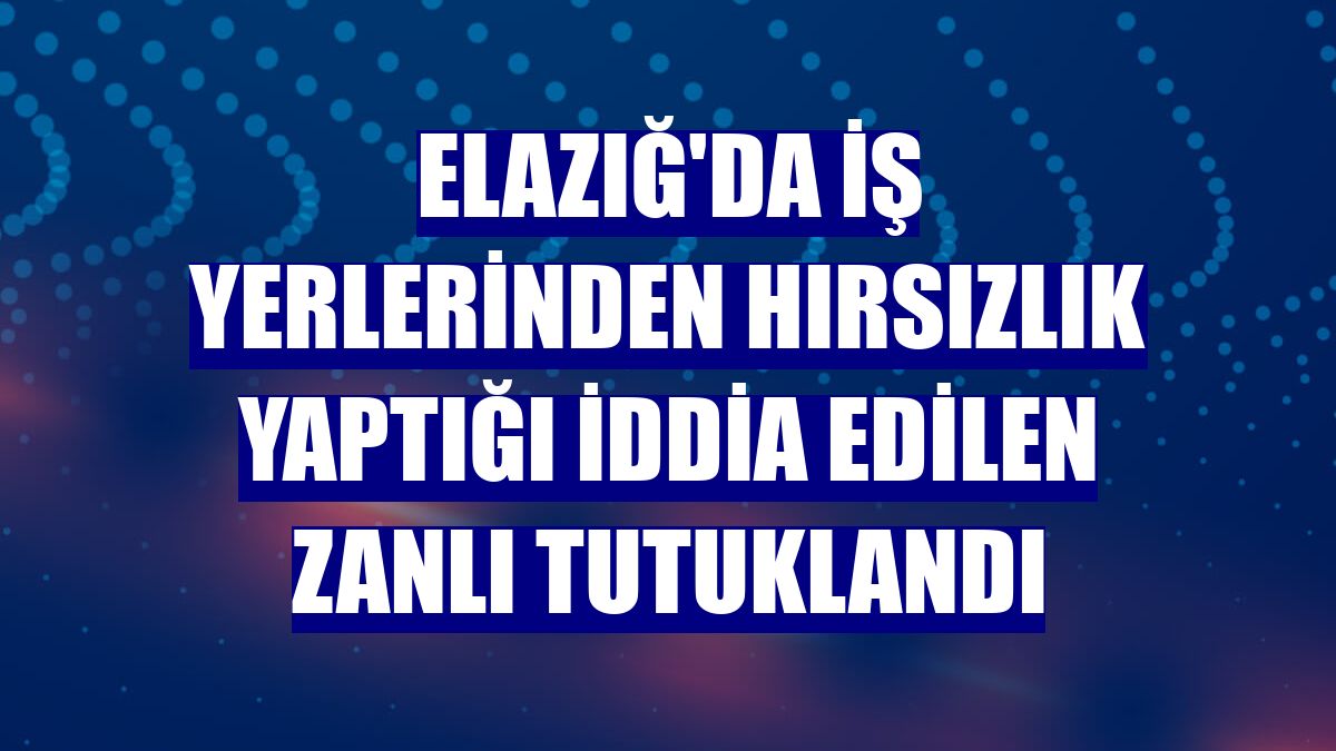 Elazığ'da iş yerlerinden hırsızlık yaptığı iddia edilen zanlı tutuklandı