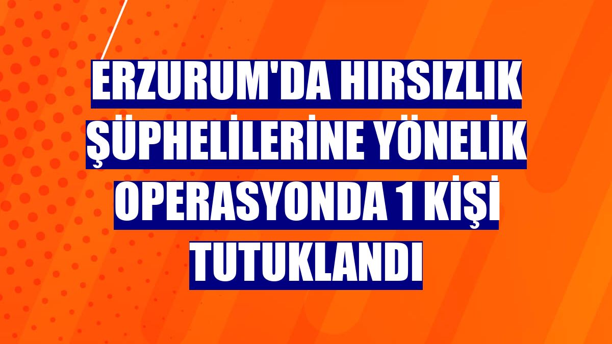 Erzurum'da hırsızlık şüphelilerine yönelik operasyonda 1 kişi tutuklandı