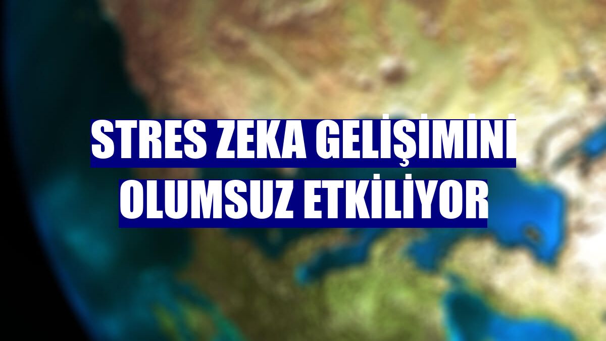Stres zeka gelişimini olumsuz etkiliyor
