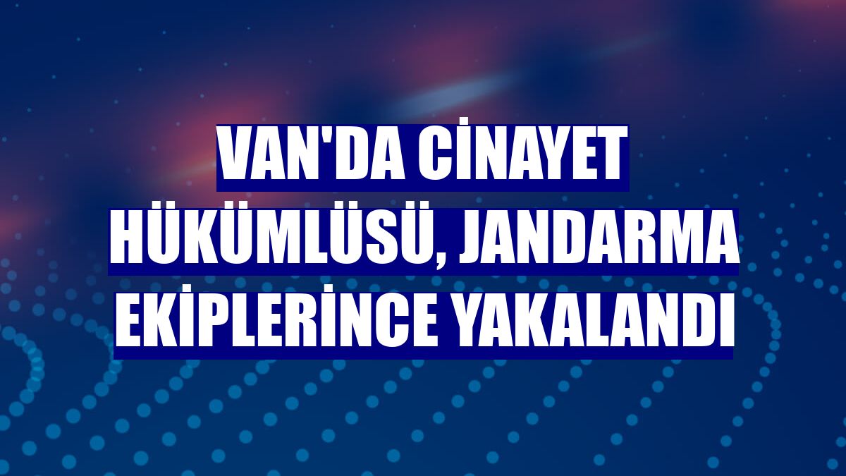 Van'da cinayet hükümlüsü, jandarma ekiplerince yakalandı