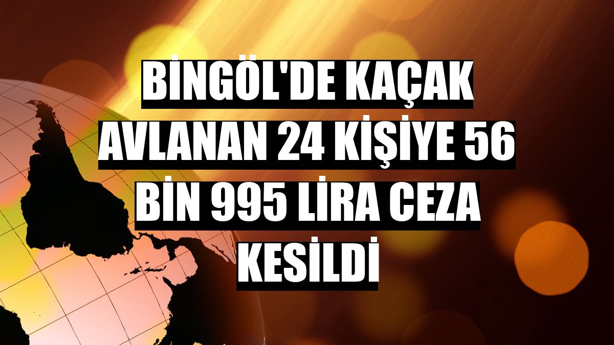 Bingöl'de kaçak avlanan 24 kişiye 56 bin 995 lira ceza kesildi