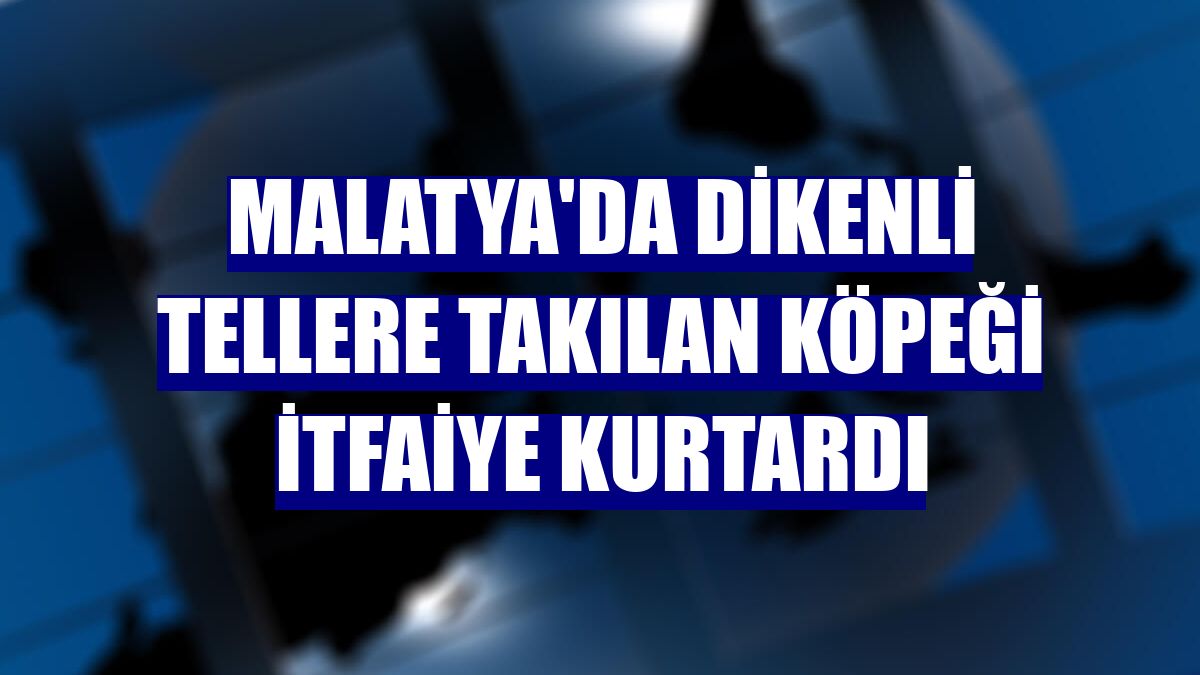 Malatya'da dikenli tellere takılan köpeği itfaiye kurtardı