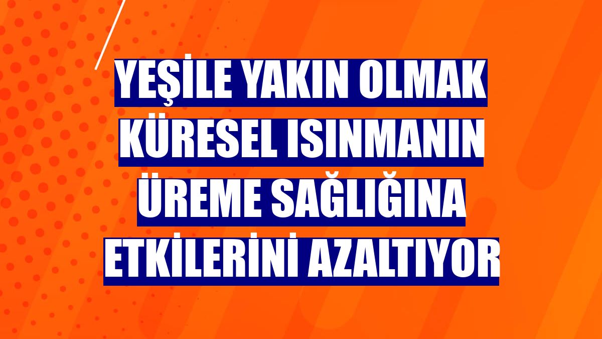 Yeşile yakın olmak küresel ısınmanın üreme sağlığına etkilerini azaltıyor