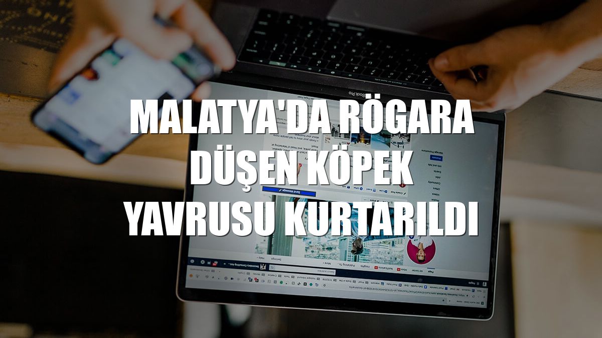 Malatya'da rögara düşen köpek yavrusu kurtarıldı