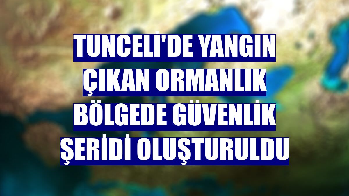 Tunceli'de yangın çıkan ormanlık bölgede güvenlik şeridi oluşturuldu