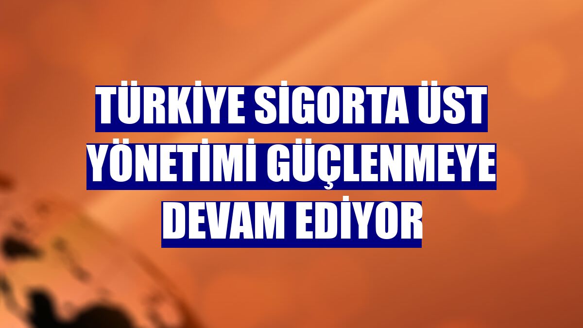 Türkiye Sigorta üst yönetimi güçlenmeye devam ediyor