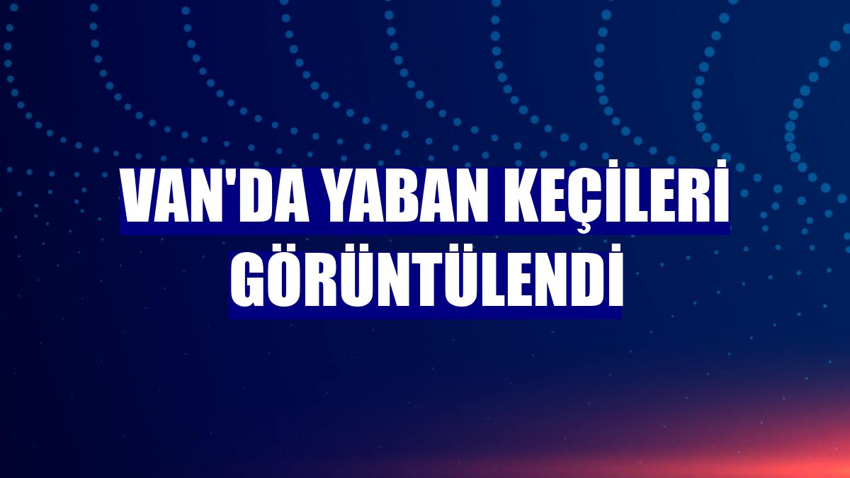Van'da yaban keçileri görüntülendi