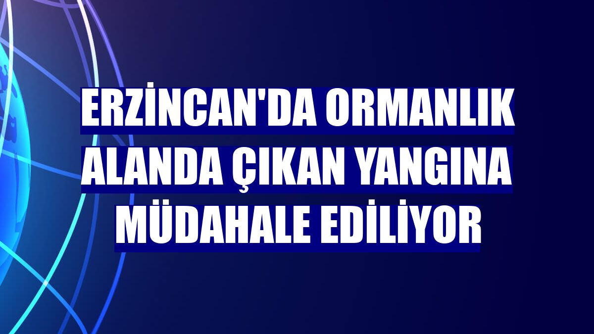 Erzincan'da ormanlık alanda çıkan yangına müdahale ediliyor