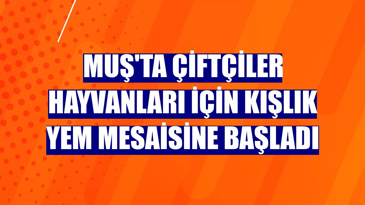 Muş'ta çiftçiler hayvanları için kışlık yem mesaisine başladı