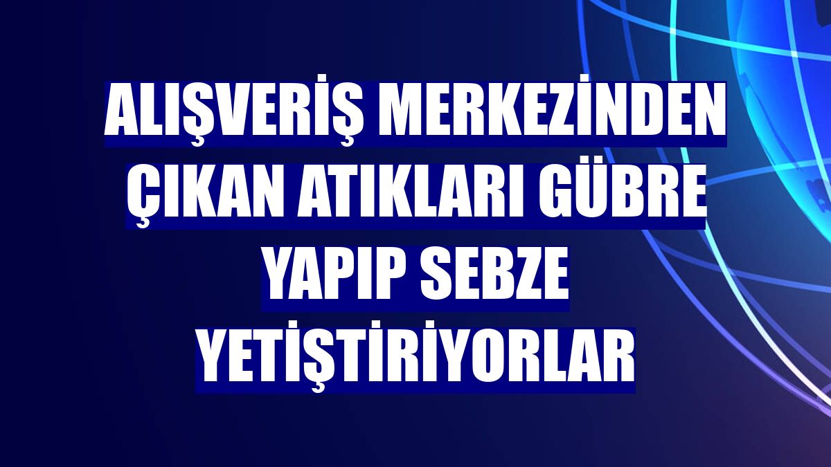 Alışveriş merkezinden çıkan atıkları gübre yapıp sebze yetiştiriyorlar