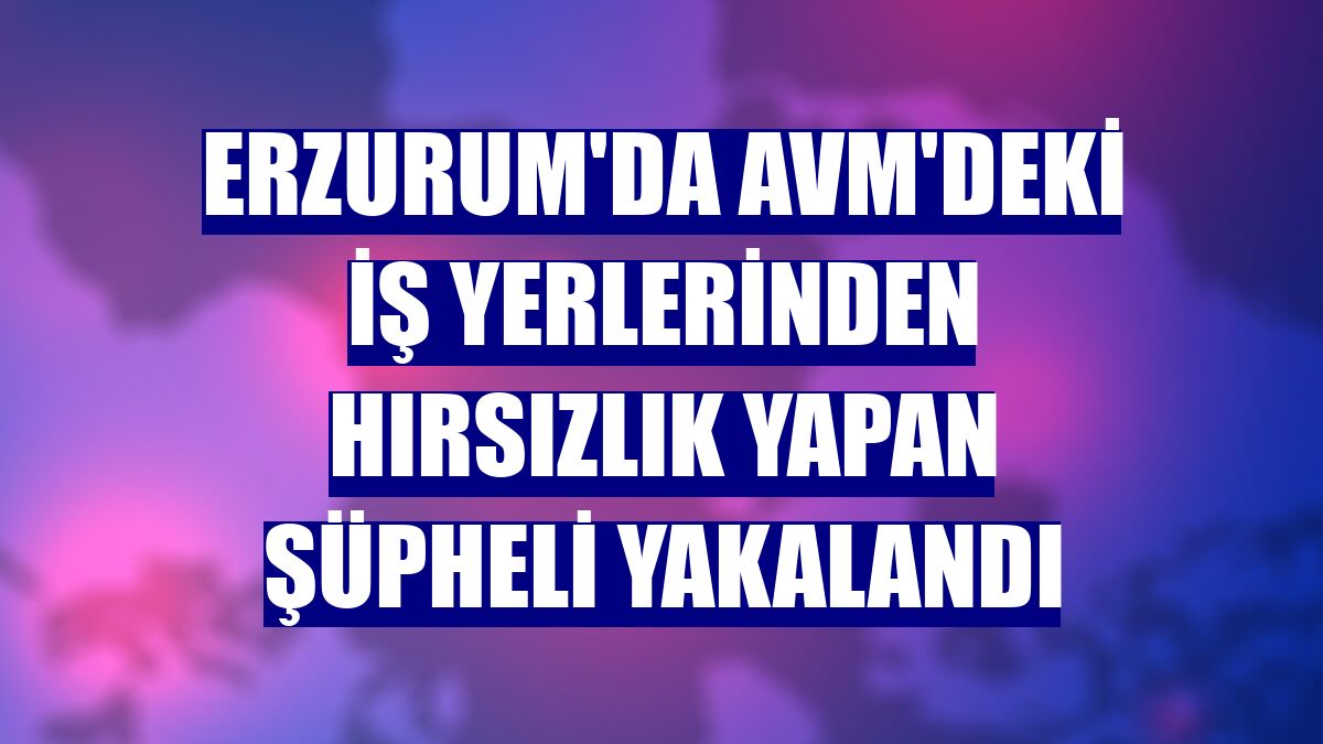 Erzurum'da AVM'deki iş yerlerinden hırsızlık yapan şüpheli yakalandı