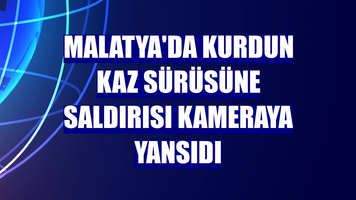 Malatya'da kurdun kaz sürüsüne saldırısı kameraya yansıdı