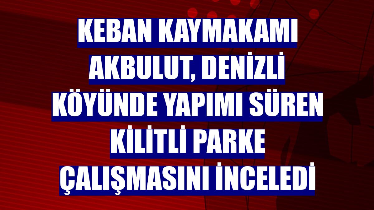 Keban Kaymakamı Akbulut, Denizli köyünde yapımı süren kilitli parke çalışmasını inceledi