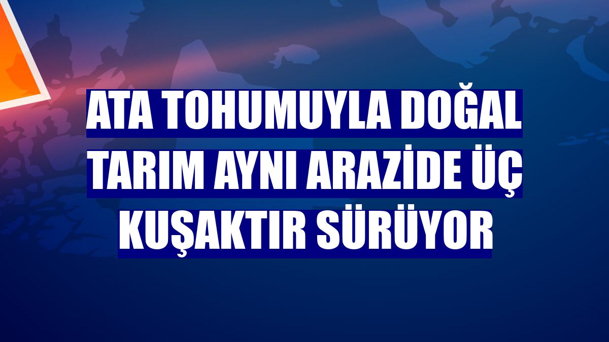 Ata tohumuyla doğal tarım aynı arazide üç kuşaktır sürüyor