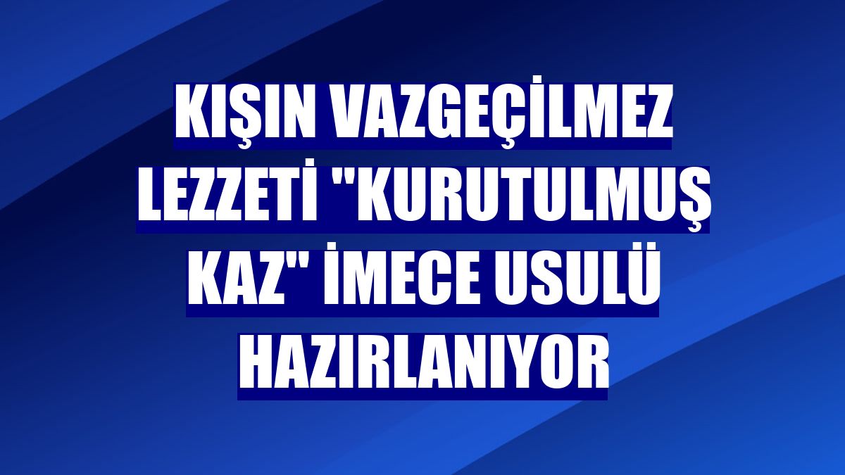 Kışın vazgeçilmez lezzeti "kurutulmuş kaz" imece usulü hazırlanıyor